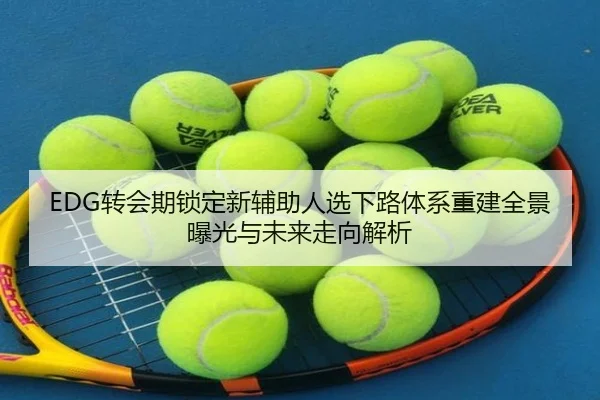 EDG转会期锁定新辅助人选下路体系重建全景曝光与未来走向解析